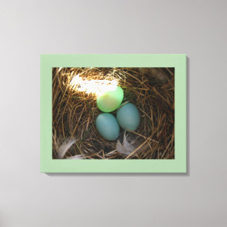 Lienzo Nido y huevos de pájaro azul