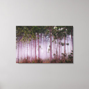 Lienzo Niebla entre pinos al amanecer, Everglades