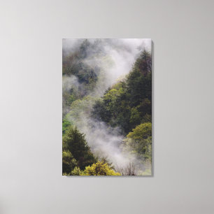 Lienzo Niebla levantándose de la ladera de la montaña t