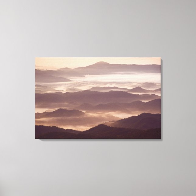 Lienzo Niebla matutina en el sur de los Apalaches (Anverso)