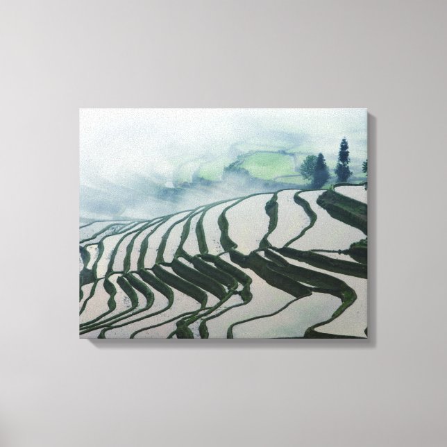 Lienzo Niebla matutina sobre campos de arroz (Anverso)