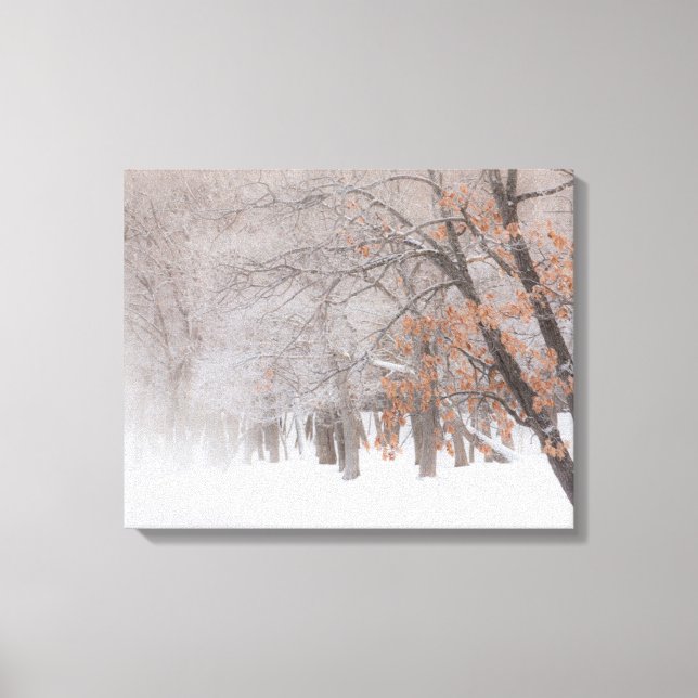 Lienzo Nieve de invierno | Lago Kussharo (Anverso)