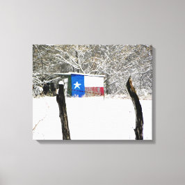 Lienzo Nieve de Texas