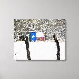 Lienzo Nieve de Texas