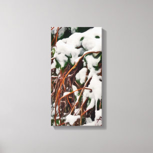 Lienzo Nieve Fresca Sobre Hojas Evergreen