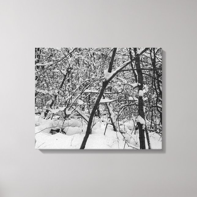 Lienzo Nieve sobre los árboles foto en blanco y negro en  (Anverso)