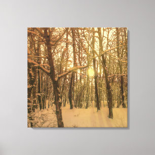 Lienzo Nieve Y Luz De Los Bosques De Invierno