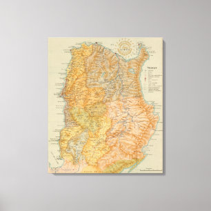 Lienzo Ningunos 7 Luzón