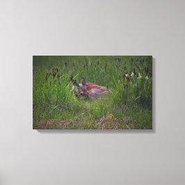 Lienzo ¡No puedes verme!