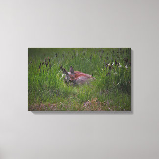 Lienzo ¡No puedes verme!