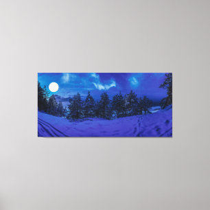 Lienzo Noche estrellada con luna llena en el bosque