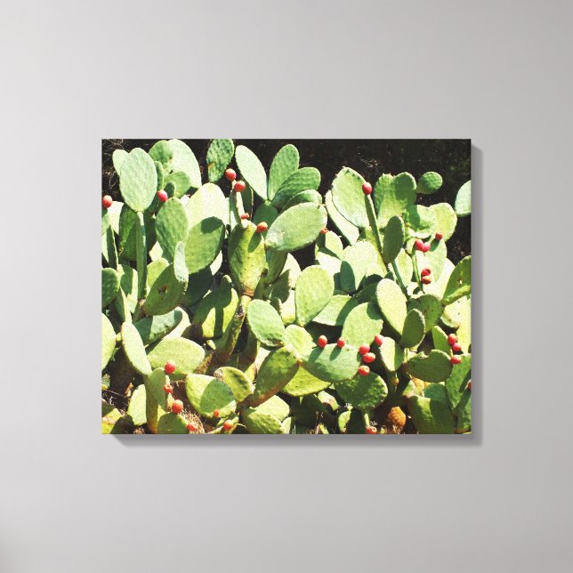 Lienzo Nopal (Anverso)