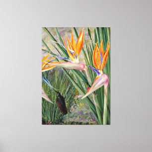 Lienzo Norte - Strelitzia y las Aves del Azúcar, Sudáfric