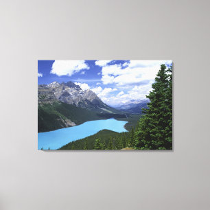 Lienzo Norteamérica, Canadá, Alberta, Jasper 6