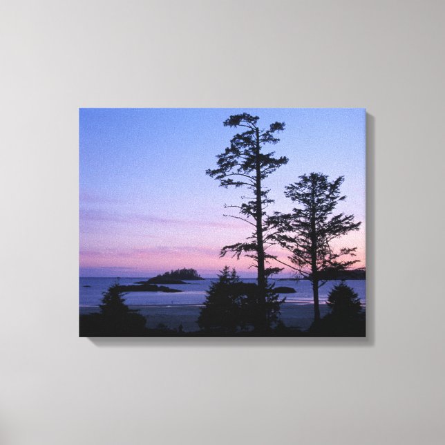 Lienzo Norteamérica, Canadá, Isla de Vancouver, árboles (Anverso)