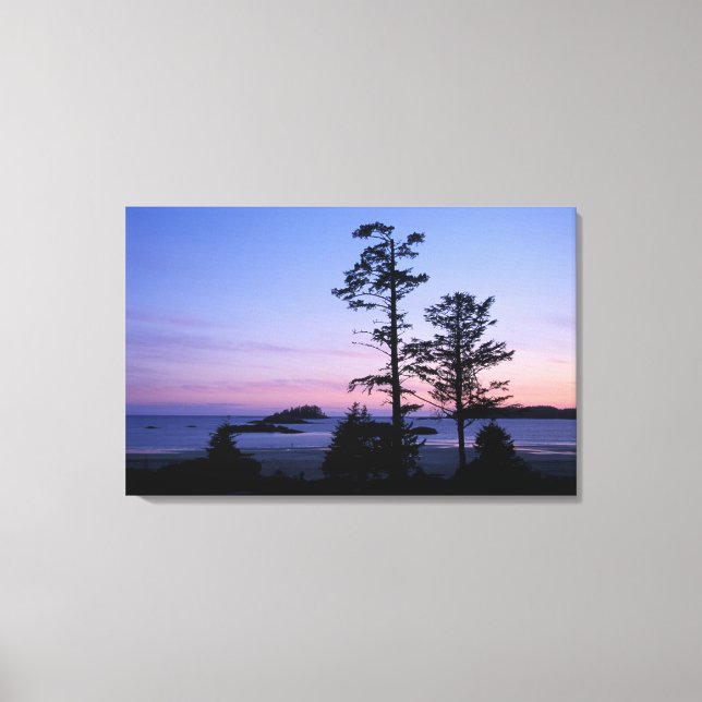 Lienzo Norteamérica, Canadá, Isla de Vancouver, árboles (Anverso)