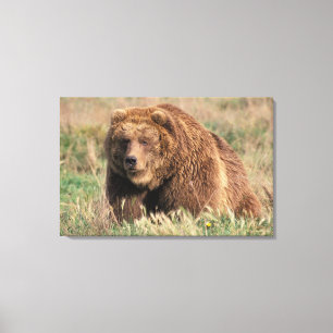 Lienzo Norteamérica, EE. UU., Alaska, Isla Kodiak,