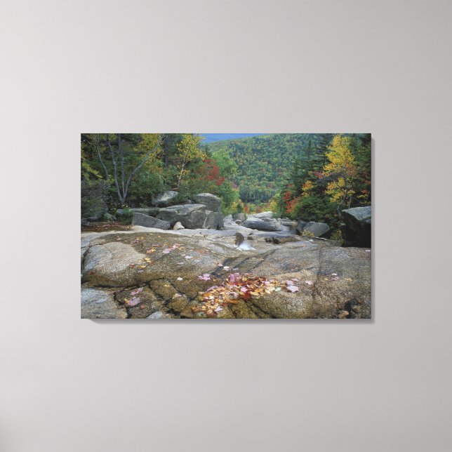 Lienzo Norteamérica, EE.UU., NH, follaje otoñal en Nueva  (Anverso)