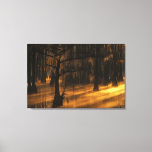 Lienzo Norteamérica, Estados Unidos, Georgia, George Smi