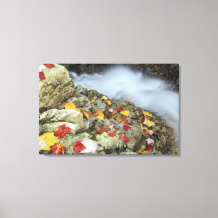 Lienzo Norteamérica, Estados Unidos, NH, Caída en Nueva