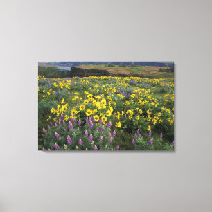 Lienzo Norteamérica, Estados Unidos, Oregón, Río Columbia