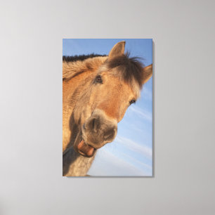 Lienzo Northumberland, Inglaterra 2