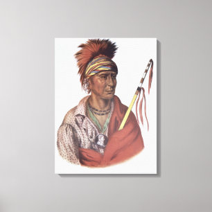 Lienzo Notchimine o ningún corazón, jefe de Iowa