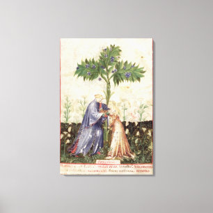 Lienzo Nouv Acq LatFennel, de 'Tacuinum Sanitatis'