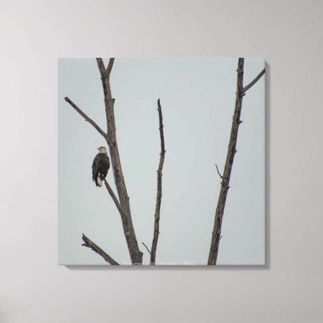 Lienzo Noviembre (Anverso)