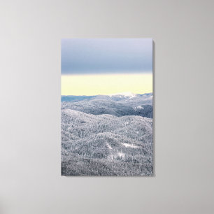 Lienzo Nubes oscuras cielo soleado y bosque de invierno n