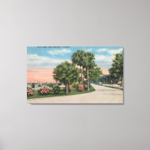 Lienzo Nueva Esmirna, Florida - Vista de la calle del Par