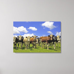 Lienzo Nueva Zelanda, Isla del Norte, Auckland