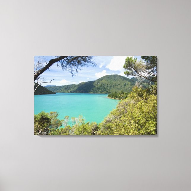 Lienzo Nueva Zelanda, Isla del Sur, Sonidos Marlborough. (Anverso)