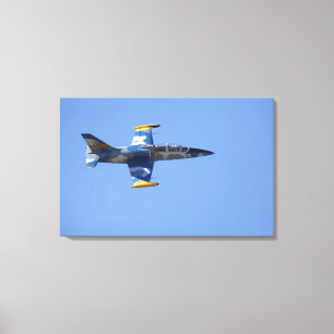 Lienzo Nueva Zelanda, Otago, Wanaka, aves de guerra mayor