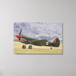 Lienzo Nueva Zelanda, Otago, Wanaka, Warbirds Over 5
