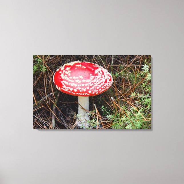 Lienzo Nueva Zelanda, Rotorua, Zona Volcánica de Taupo (Anverso)