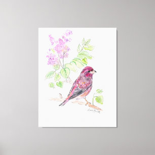 Lienzo Nuevo Hampshire