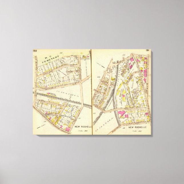 Lienzo Nuevo Rochelle 150151 (Anverso)