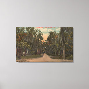 Lienzo Nuevo Smyrna, la Florida - opinión la magnolia