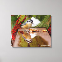 Nuthatch de pecho rojo