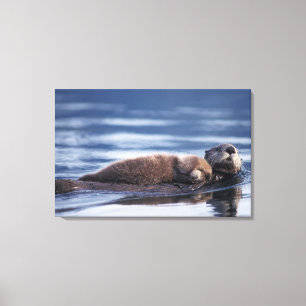 Lienzo nutria marina, Enhydra lutris lutris