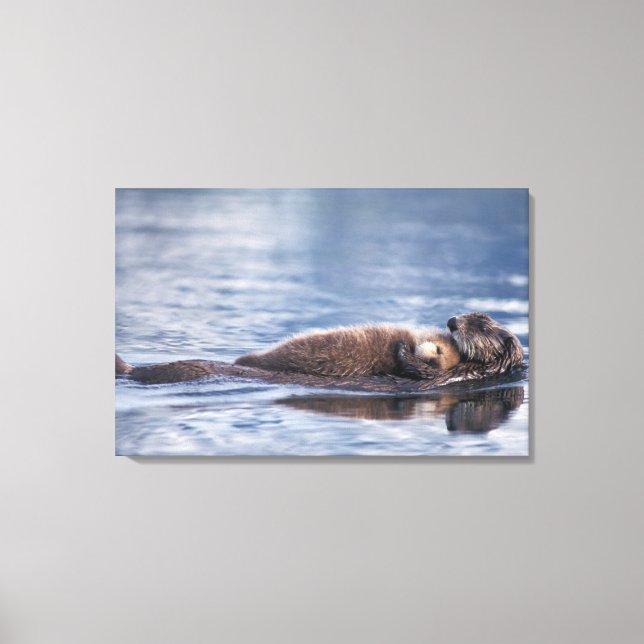 Lienzo nutria marina, Enhydra lutris lutris (Anverso)