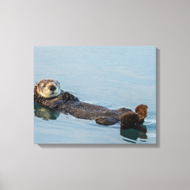 Lienzo Nutria marina flotando de espaldas en el océano (Anverso)