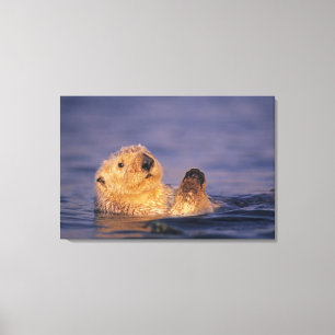 Lienzo Nutrias marinas, Enhydra lutris 2