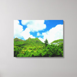 LIENZO OAHU HAWAII #10