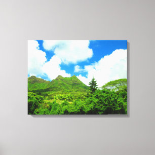 LIENZO OAHU HAWAII #10