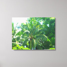 LIENZO OAHU HAWAII #17 CANVAS