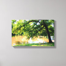 Oak Tree by Waters Edge Canvas Print