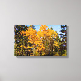 Lienzo Oaks en otoño