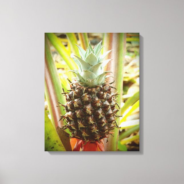 Lienzo Obra de tela de piña fresca de Hawái (Anverso)